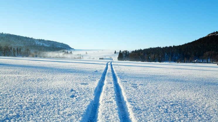 Schneeweg